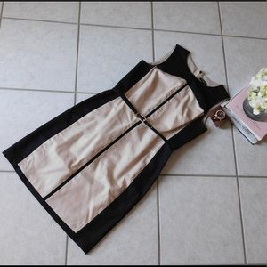 NWOT Ann Taylor Shift Dress