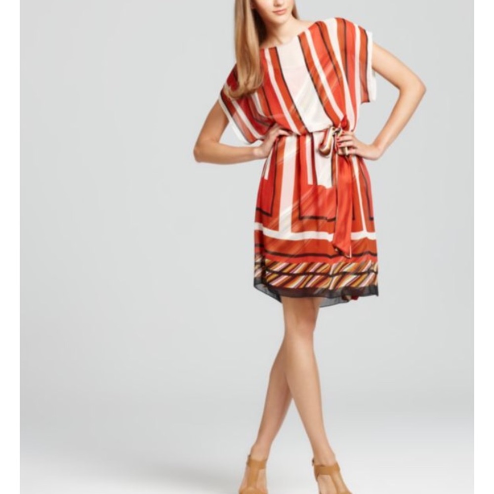 Max & Cleo Scarf Printed Tunic dress