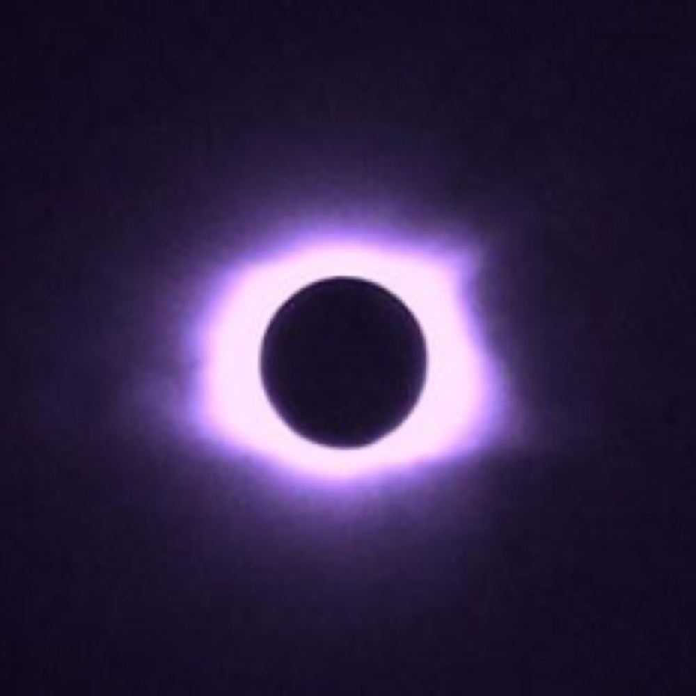 Meet your Posher, George