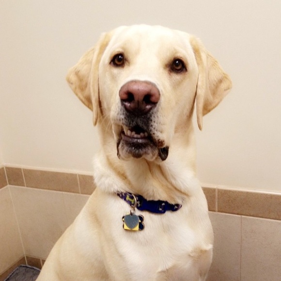 Meet your Posher, Kyle - Picture 1 of 1