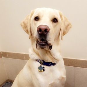 Meet your Posher, Kyle