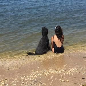 Meet your Posher, Ellen