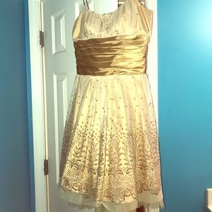 Beautiful Gold Sparkly Dress