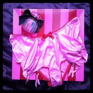 NWT Victoria's Secret Retro Panty with Garters