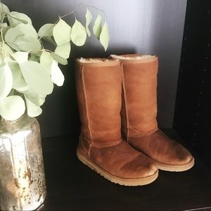 Chestnut Uggs