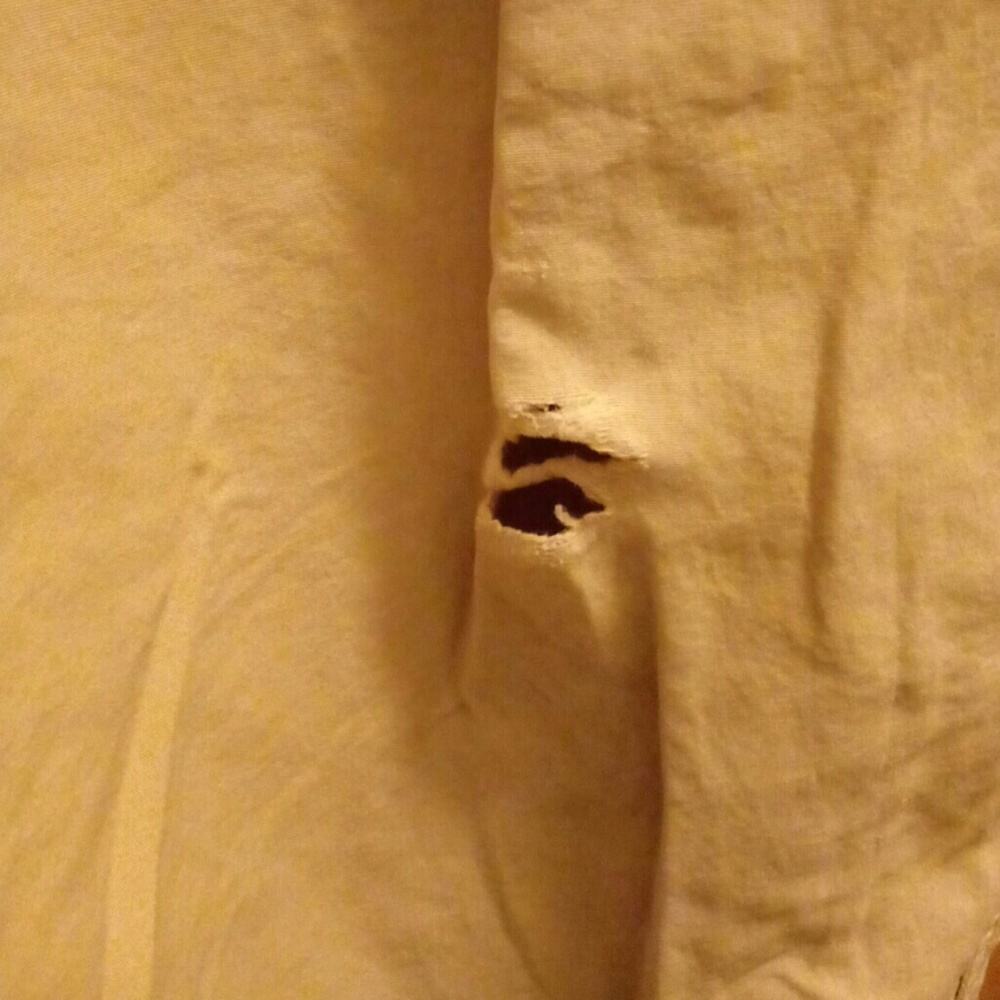 Royal Robins - image 3