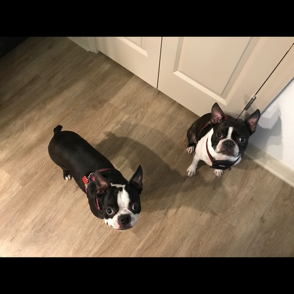 Meet your Posher! - Picture 3 of 4