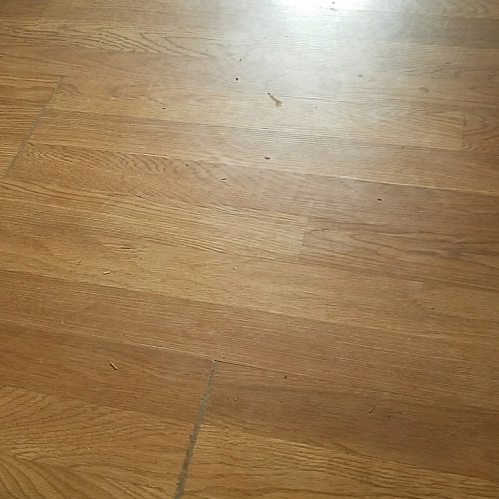 Meet your Posher, Trevor