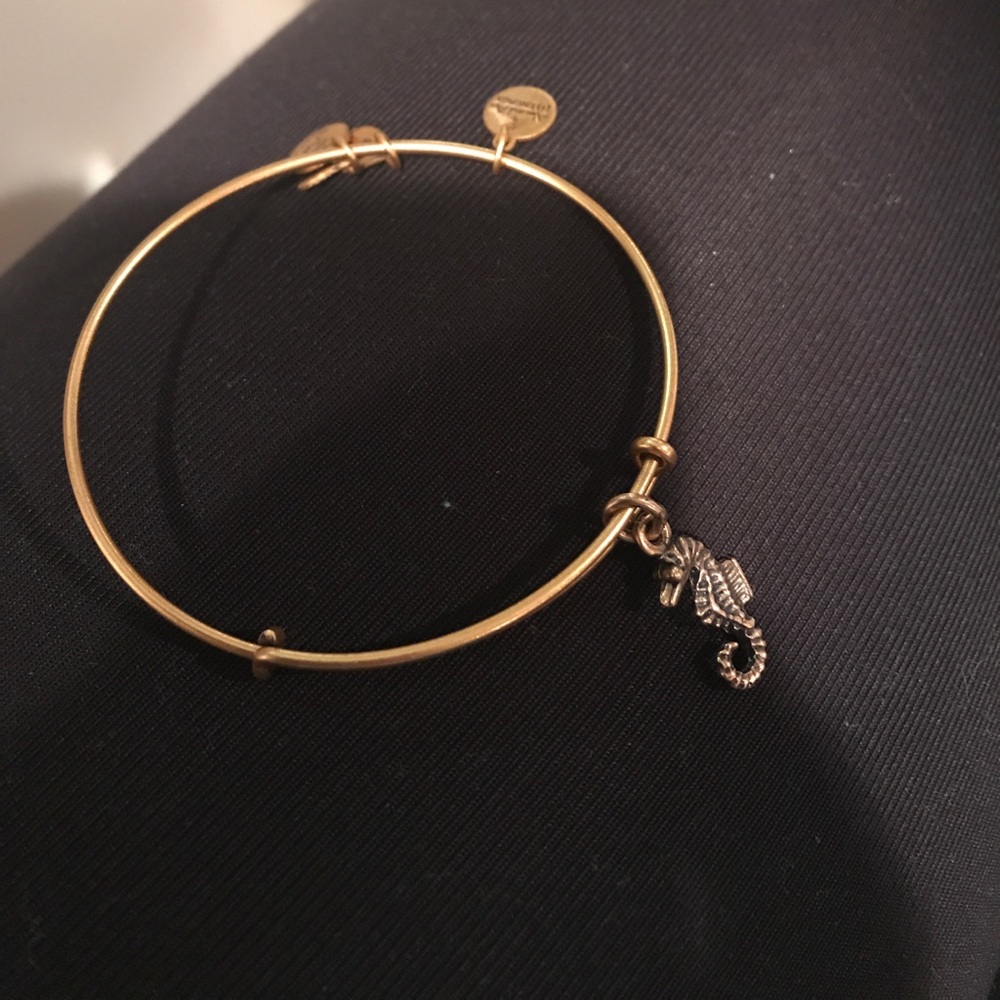 Alex and ani seahorse