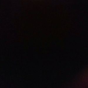 Meet your Posher, Rudy