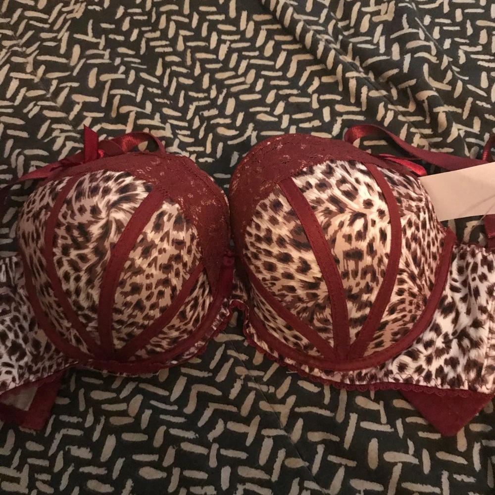 Sexy cheetah print bra!