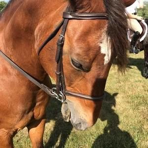 Meet your Posher, Alexis