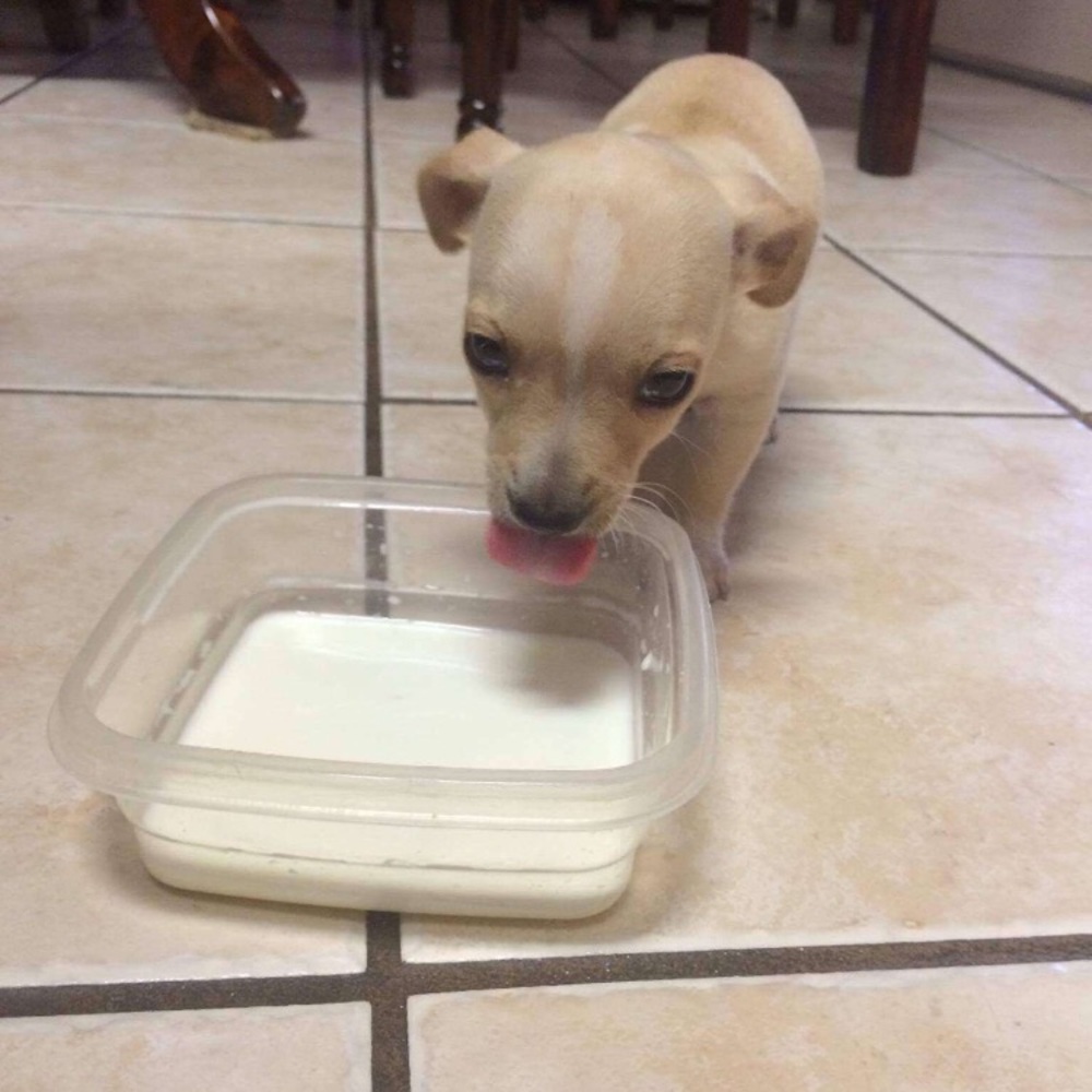 Meet your Posher, Bryan