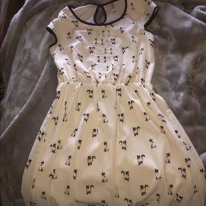 Cat dress😍🐱