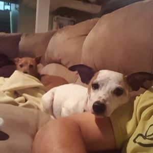 Meet your Posher, Todd