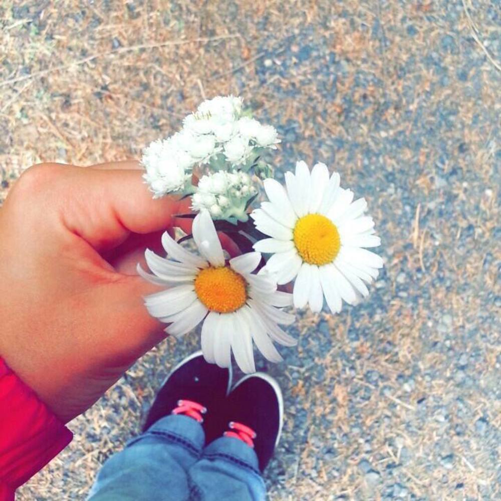 Meet your Posher, Lee