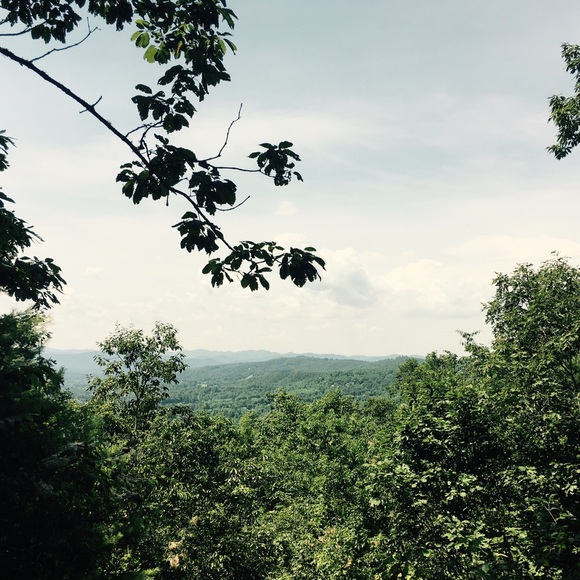 Meet your Posher, Sarah - Picture 2 of 2