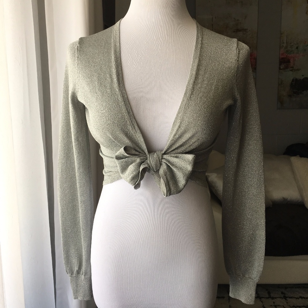 Express Metallic Silver Silk Knit Tie Crop Top M