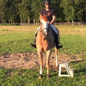 Meet your Posher, Christopher