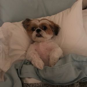 Meet your Posher, Fabian