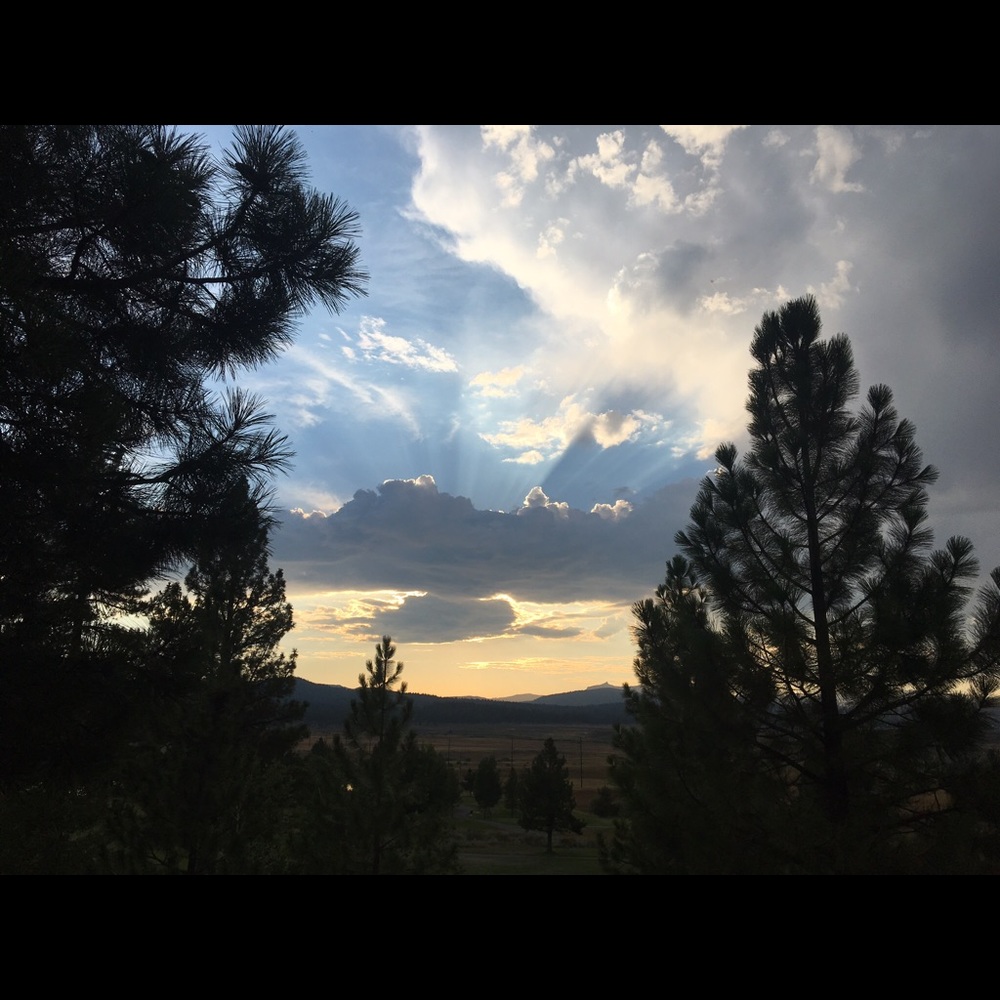 Meet your Posher, Cassie