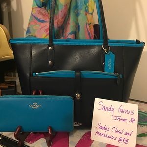 Nwt Coach City zip pouch tote set