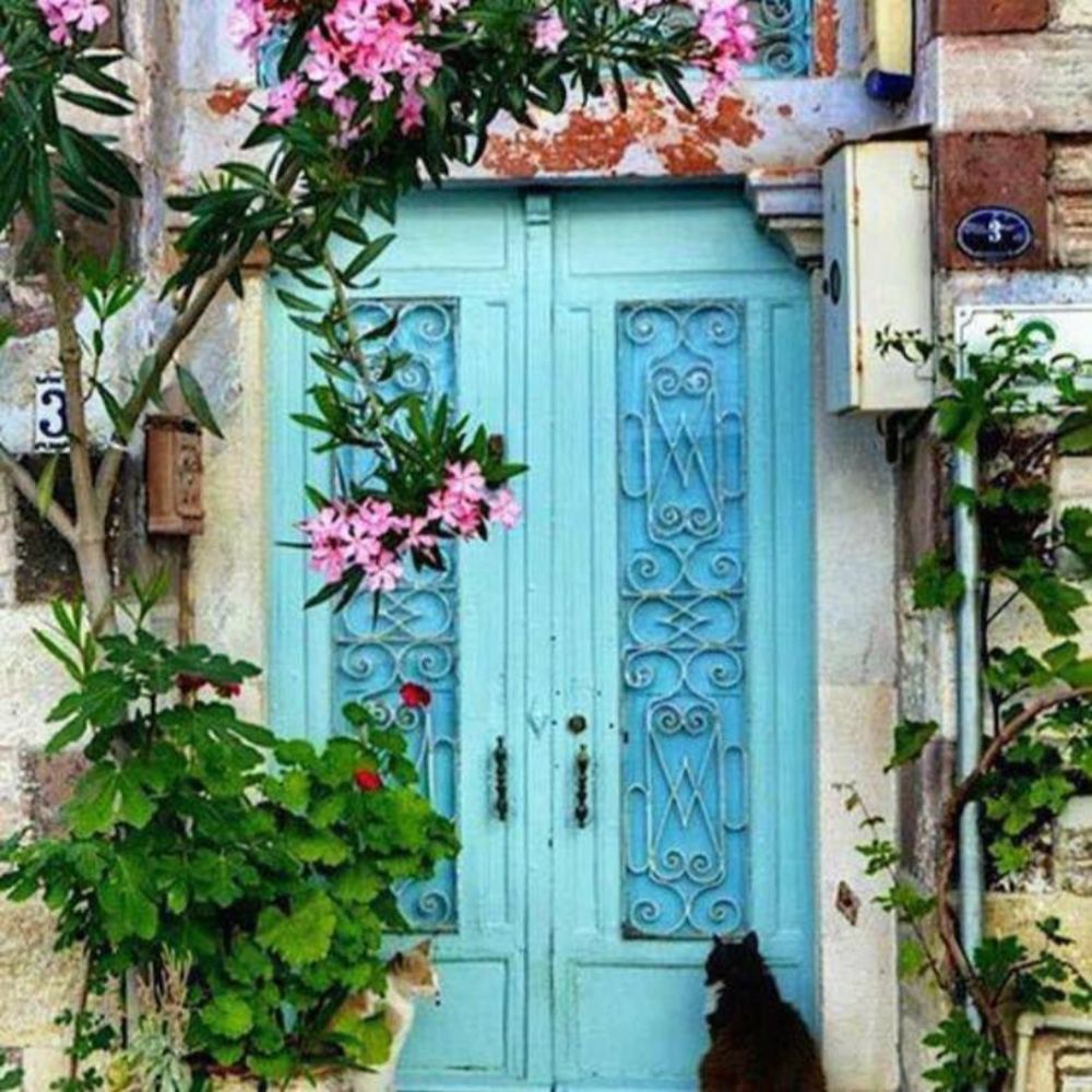 Meet your Posher, Mina