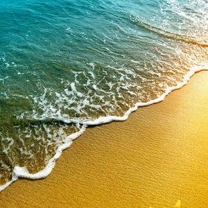 Meet your Posher, Celida