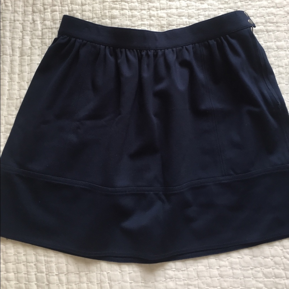 Madewell Skirt w Panel details