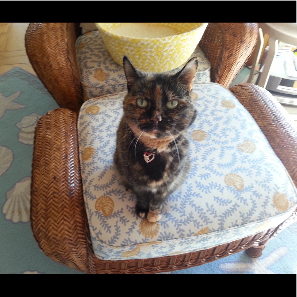 Meet your Posher, Jayne