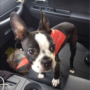 Meet your Posher, Krista