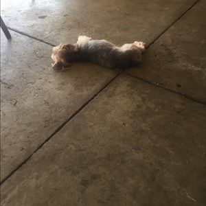 Meet your Posher, Erika