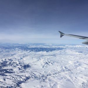 Meet your Posher, Samson