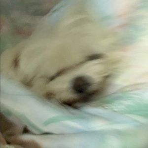 Meet your Posher, Winnie