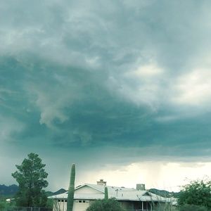 Meet your Posher, Ralph