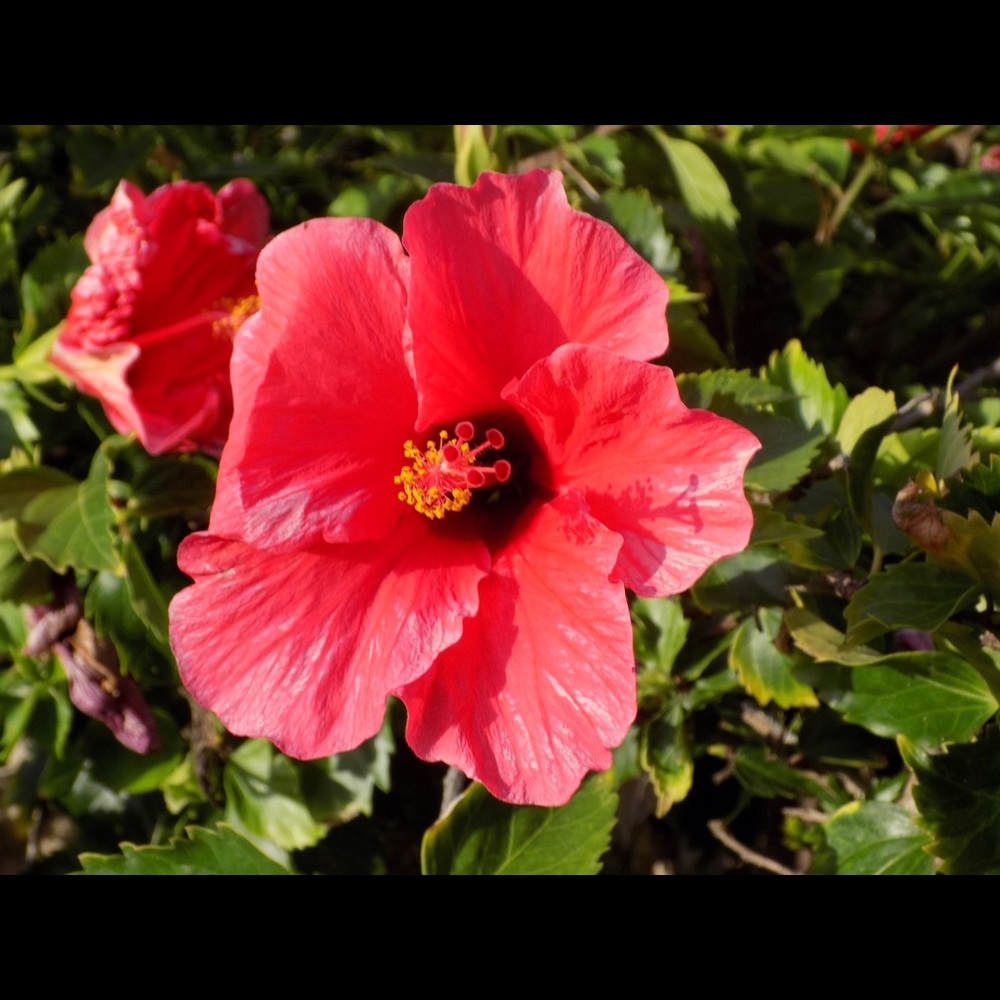 Meet your Posher, Leah