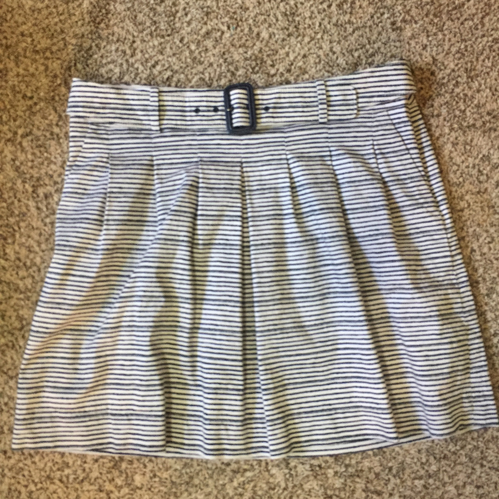 Striped Pleated Skirt