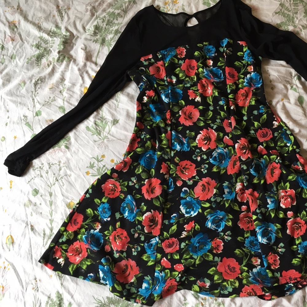 plus sheer top floral skater dress
