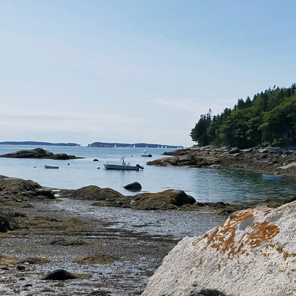 Meet your Posher, Michelle