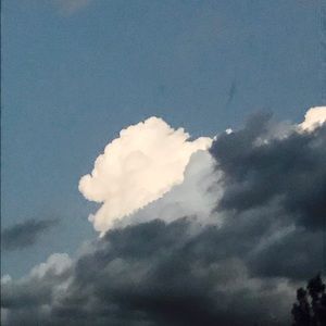 Meet your Posher, Alexa