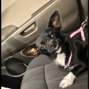 Meet your Posher, Wes