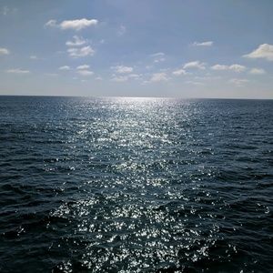 Meet your Posher, Fernando