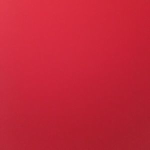 Meet your Posher, Tamesha