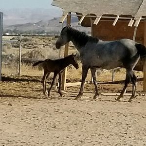 Meet your Posher, Omar