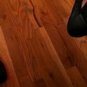 Meet your Posher, Cheyenne