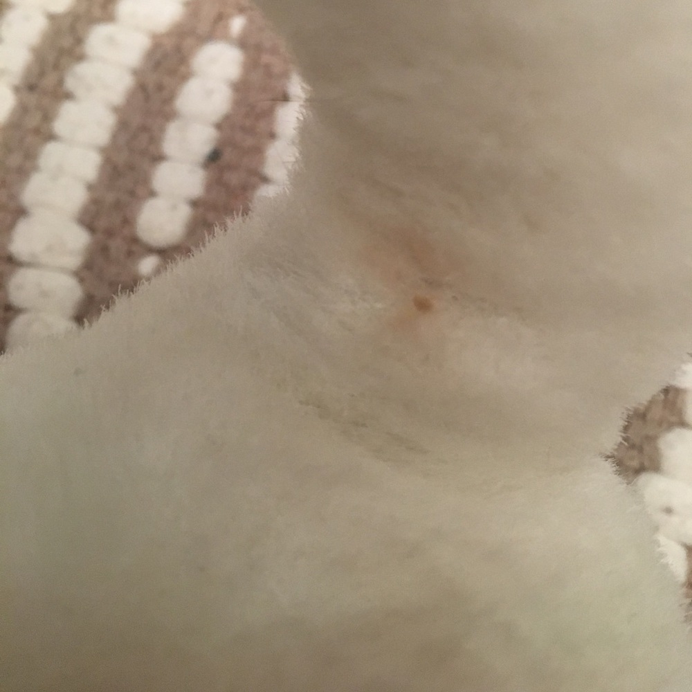 Fluffy cat - Picture 2 of 3