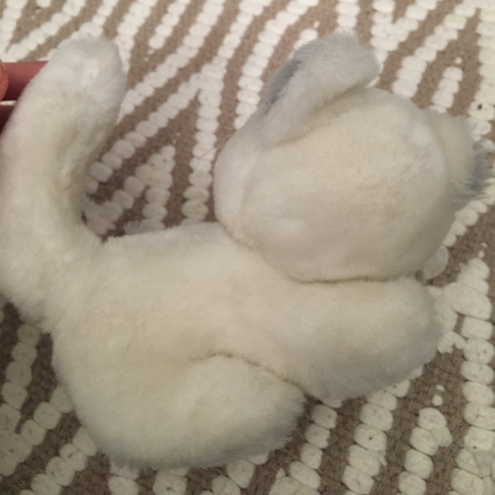 Fluffy cat - Picture 3 of 3