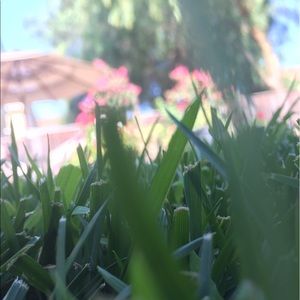 Meet your Posher, Ann