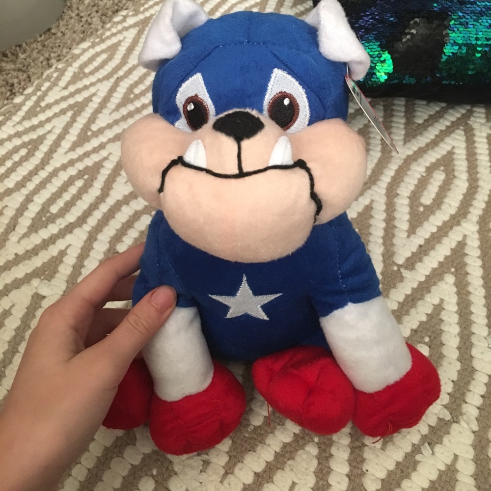 Captain America bulldog