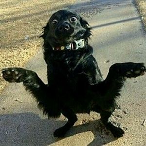 Meet your Posher, Micah